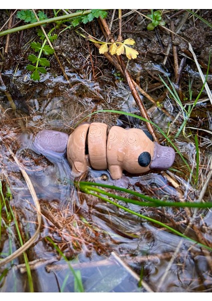 Ornitorenk Oyuncak - Doğanın En Ilginç ve Sevimli Kaşifi! 🦆🦫3d Hareketli Organik Model- Orta Boy modelleri