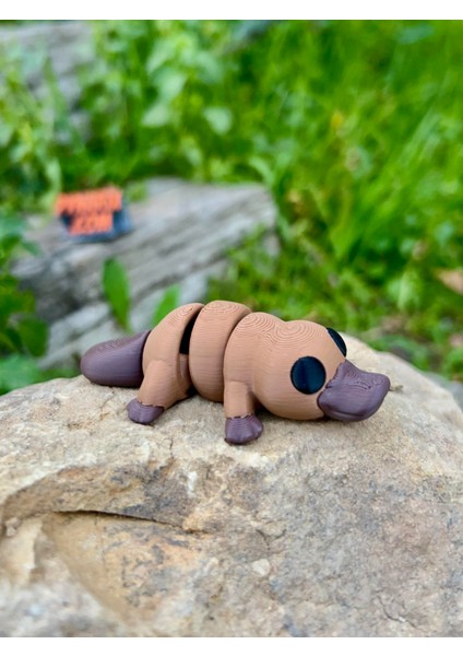 Ornitorenk Oyuncak - Doğanın En Ilginç ve Sevimli Kaşifi! 🦆🦫3d Hareketli Organik Model- Orta Boy fırsatları
