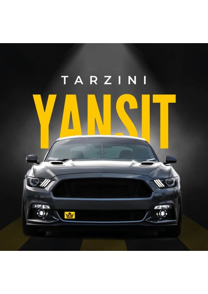 Kral Tacı Tarza Özel Pleksi Panjur Arması - 1 I Universal Vidalı Oto Panjur Süsü I Araba Panjur Süsü fırsatları