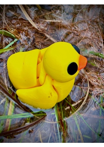 Ördek Oyuncak- Bebek Ördek Gölün Sevimli Kaşifi 🦆🌊 3D Hareketli Organik Model - Orta Boy