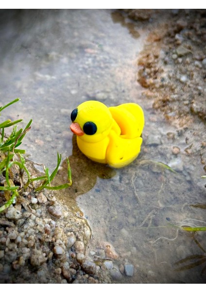 Ördek Oyuncak- Bebek Ördek Gölün Sevimli Kaşifi 🦆🌊 3D Hareketli Organik Model - Orta Boy