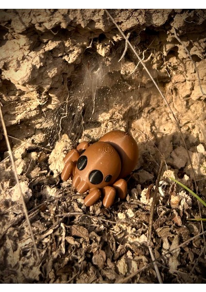 Örümcek Oyuncak - Doğanın Gızemli Dokumacısı 🕷️🕸️ 3D Hareketli Organik Model - Orta Boy fiyatları