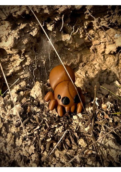 Örümcek Oyuncak - Doğanın Gızemli Dokumacısı 🕷️🕸️ 3D Hareketli Organik Model - Orta Boy modelleri