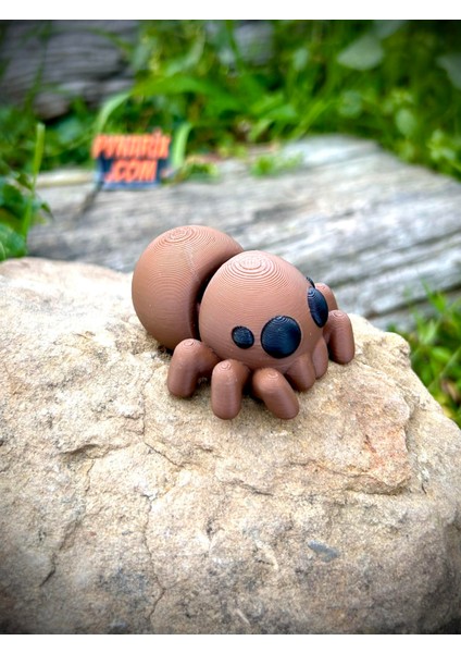 Örümcek Oyuncak - Doğanın Gızemli Dokumacısı 🕷️🕸️ 3D Hareketli Organik Model - Orta Boy