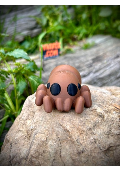 Örümcek Oyuncak - Doğanın Gızemli Dokumacısı 🕷️🕸️ 3D Hareketli Organik Model - Orta Boy