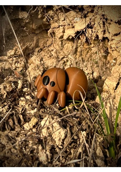 Örümcek Oyuncak - Doğanın Gızemli Dokumacısı 🕷️🕸️ 3D Hareketli Organik Model - Orta Boy