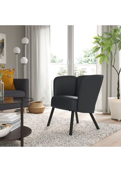 Tekli Koltuk, Skulsta Siyah fiyatları