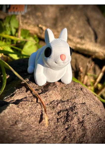 Tavşan Oyuncak - Zıplamanın Keyfi! Zıp Zıp 🐇🌿✨3d Hareketli Organik Model-Orta Boy