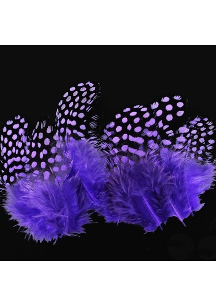 Mor Puantiyeli Kuş Tüyü Seti, Şeffaf Balon ve Dekorasyon Öğeleri