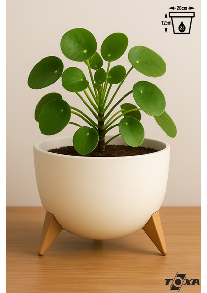 2 Litre Ayaklı Küre Saksı 20cm Delikli Süzgeçli Drenajlı Plastik Çiçek Saksısı