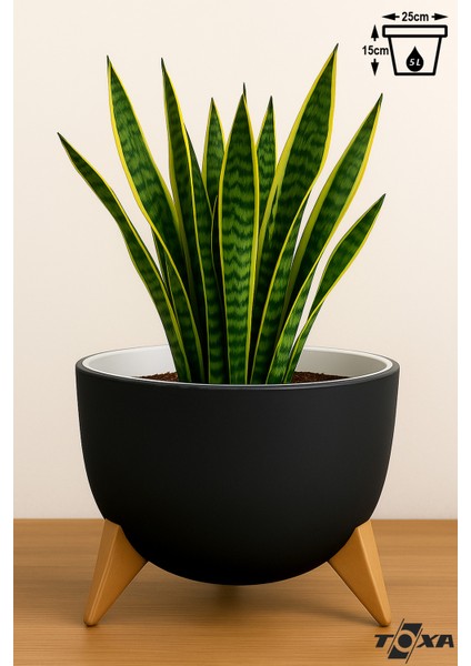 5 Litre Ayaklı Küre Saksı 25cm Delikli Süzgeçli Drenajlı Plastik Çiçek Saksısı