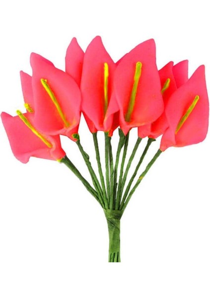 Canlı Kırmızı Çiçek Paketi, Şık ve Zarif Dekorasyon Için Mükemmel Seçim