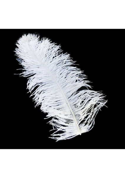 Çok Renkli Tüy Dekoratif Panel 45X50CM Beyaz 1 Adet