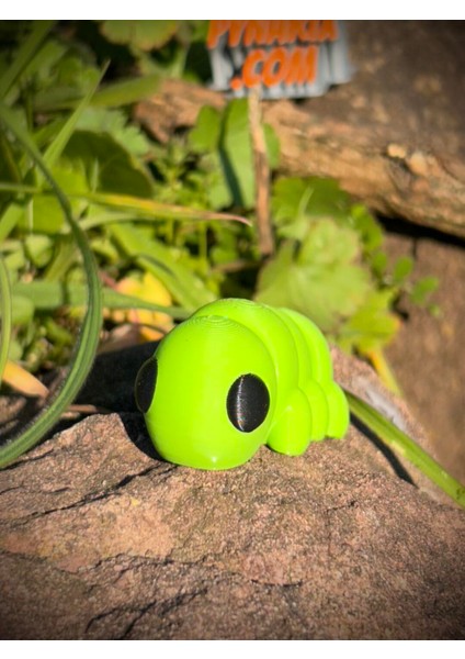 Tırtıl Oyuncak - Doğanın Sabırlı ve Büyüleyici Yolcusu! 🐛🍃✨ 3D Hareketli Organik Model - Orta Boy