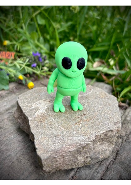 Uzaylı Oyuncak - Zixo Evrenin Sırrını Evinize Getirin! 👽🚀🎇✨3d Hareketli Organik Model- Orta Boy