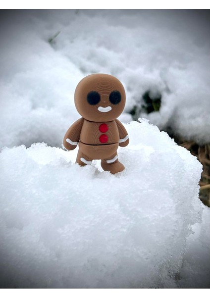Zencefilli Kış Kurabiyesi Oyuncak - Anıların Tatlı Temsilcisi! 🍪✨❄️ 3D Hareketli Organik Model - Orta Boy