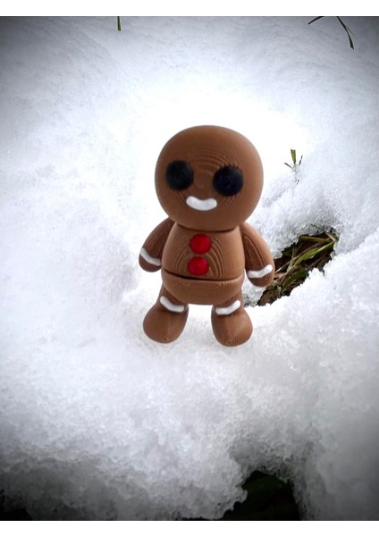 Zencefilli Kış Kurabiyesi Oyuncak - Anıların Tatlı Temsilcisi! 🍪✨❄️ 3D Hareketli Organik Model - Orta Boy fırsatları