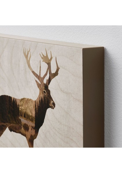 Resim, Kahverengi, 30X20 cm modelleri