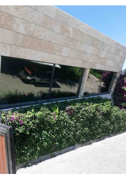 Orta Ton Krom Renk Cam Filmi