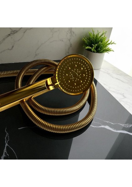 Anf Gold Rennkli Modern Duş Başlığı fiyatları