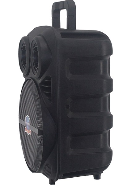 Zore Pk-15 Fm Radyolu Mikrofonlu Rgb Tws 8 Inç Stereo Bass Kablosuz Karaoke Hoparlör fiyatları