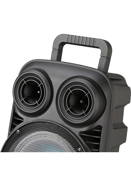 Zore Pk-15 Fm Radyolu Mikrofonlu Rgb Tws 8 Inç Stereo Bass Kablosuz Karaoke Hoparlör indirimleri