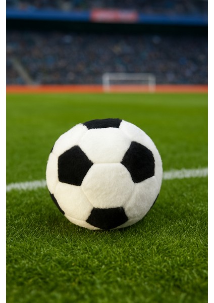 Çocuklar Için Dolgulu Siyah Beyaz Futbol Topu Peluş Yastık fiyatları