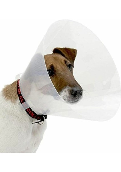 Kedi & Köpek Yakalık & Boyunluk Dikişsiz 7,5 cm. 1 Adet fırsatları