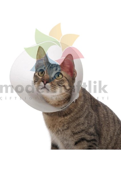 Kedi & Köpek Yakalık & Boyunluk Dikişsiz 7,5 cm. 1 Adet