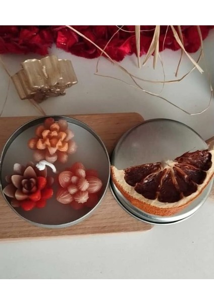 Metal Kutuda Tropikal Meyve Esanslı Sukulent Mum 7 x 7 cm fırsatları