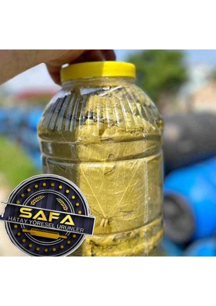 Safa Hatay Yöresel Yeni Mahsul Ince Taze Asma Yaprağı 3kg