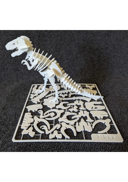 T-Rex Skeleton Kit Card Dinazor Puzzle