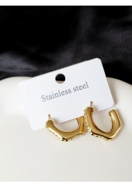 Ladybirdbujiteri Zirkon Taşlı Altıgen Model Çelik Küpe fiyatları