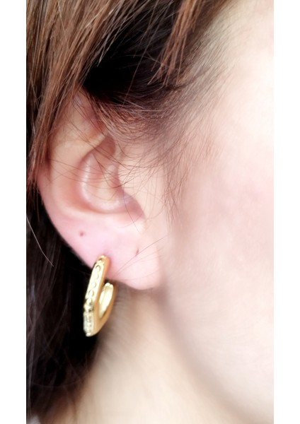 Ladybirdbujiteri Zirkon Taşlı Altıgen Model Çelik Küpe fırsatları