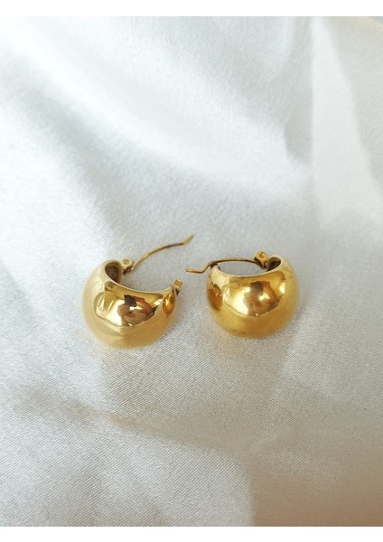 Ladybirdbujiteri Orta Boy Bombeli Halka Çelik Küpe modelleri