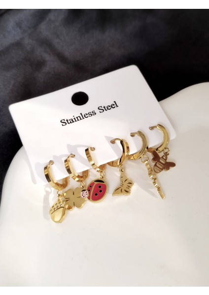 Ladybirdbujiteri Şans Serisi 6'lı Çelik Küpe Seti