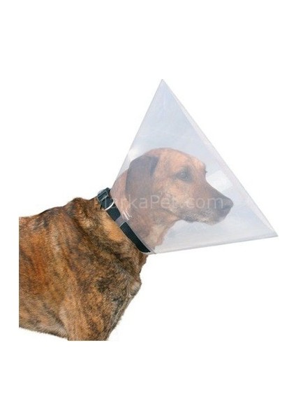 Kedi &Köpek Yakalık 10 cm. 1 Adet modelleri