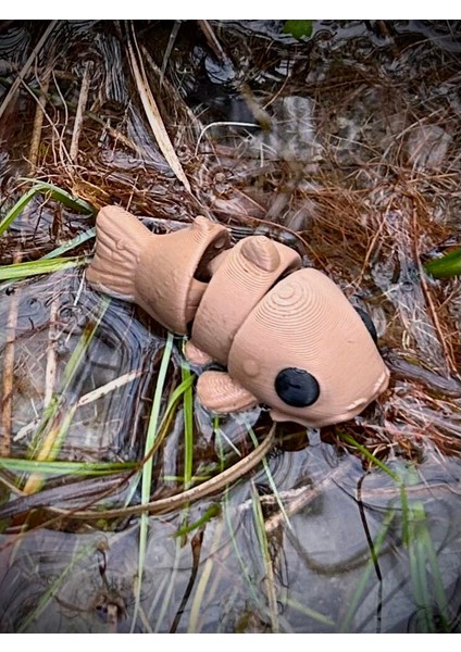 Oyuncak Kedi Balığı - Derin Denizlerin Gızemli Dostu!😺+🐠🌊 🐾3d Hareketli Organik Model - Orta Boy fiyatları