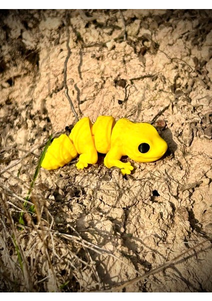 Oyuncak Leopar Kertenkelesi – Çölün Altın Deseni! 🌵🌞🦎🌟3d Hareketli Organik Model - Orta Boy