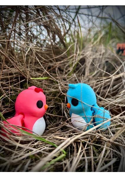 Kuş -"sevgili Kuşlar" Aşkın ve Sadakatin Simgesi🐦💙💕 3D Hareketli Organik Oyuncak - Model Orta Boy