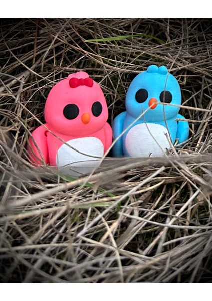 Kuş -"sevgili Kuşlar" Aşkın ve Sadakatin Simgesi🐦💙💕 3D Hareketli Organik Oyuncak - Model Orta Boy modelleri