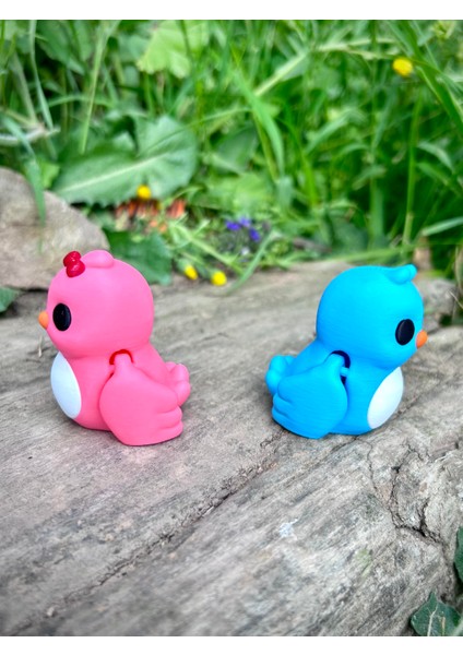Kuş -"sevgili Kuşlar" Aşkın ve Sadakatin Simgesi🐦💙💕 3D Hareketli Organik Oyuncak - Model Orta Boy