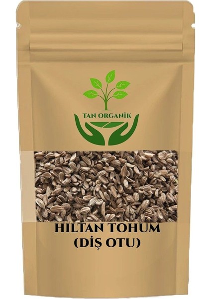Hıltan Tohumu (Diş Otu) (Visnaga Daucoides) 500GR