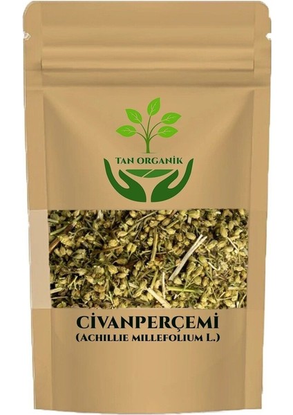 Civanperçemi Çayı (Achillie Millefolium L. ) 100