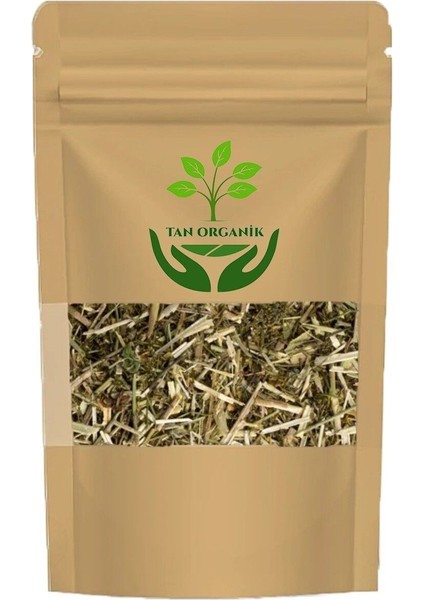 Yoğurt Otu (Galium Aparine) 50GR