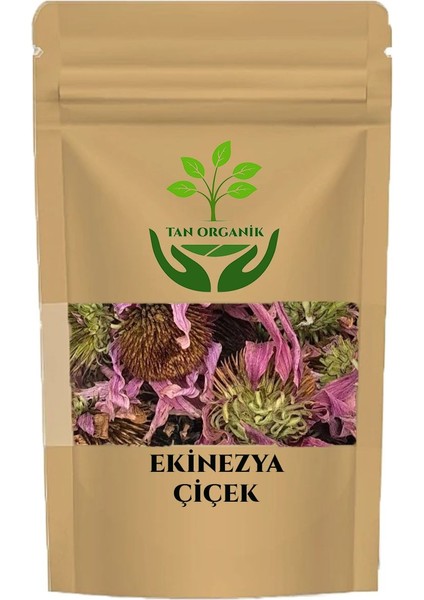 Ekinezya Çiçek 1000GR