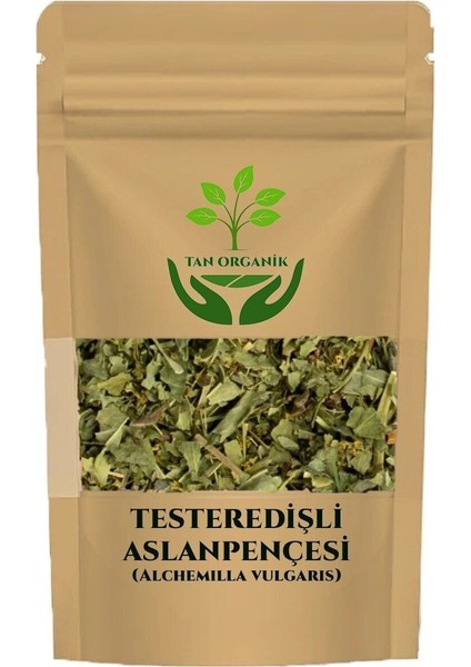 Aslanpençesi Çayı Testeredişli (Alchemilla Vulgaris) 100GR