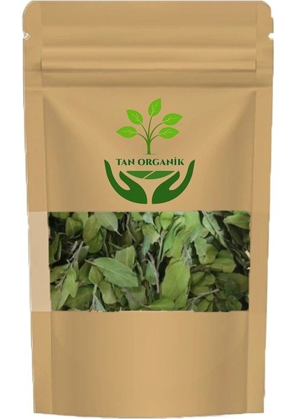 Sidr Sidir Arabistan Kirazı Ağacı Yaprağı 10GR