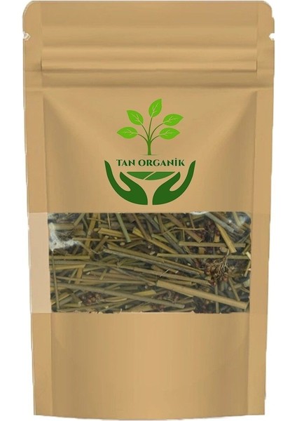 Kayış Kıran Otu Doğal Yeni Hasat (Ononis Spinosa) 100GR