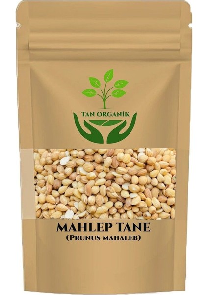 Mahlep Tane (Yabani Kiraz Çekirdeği) 500GR